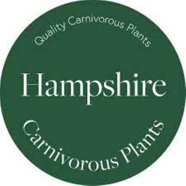 uploads/images/Download 2