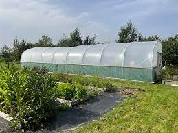 uploads/images/Download 3