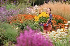 uploads/images/Download 9