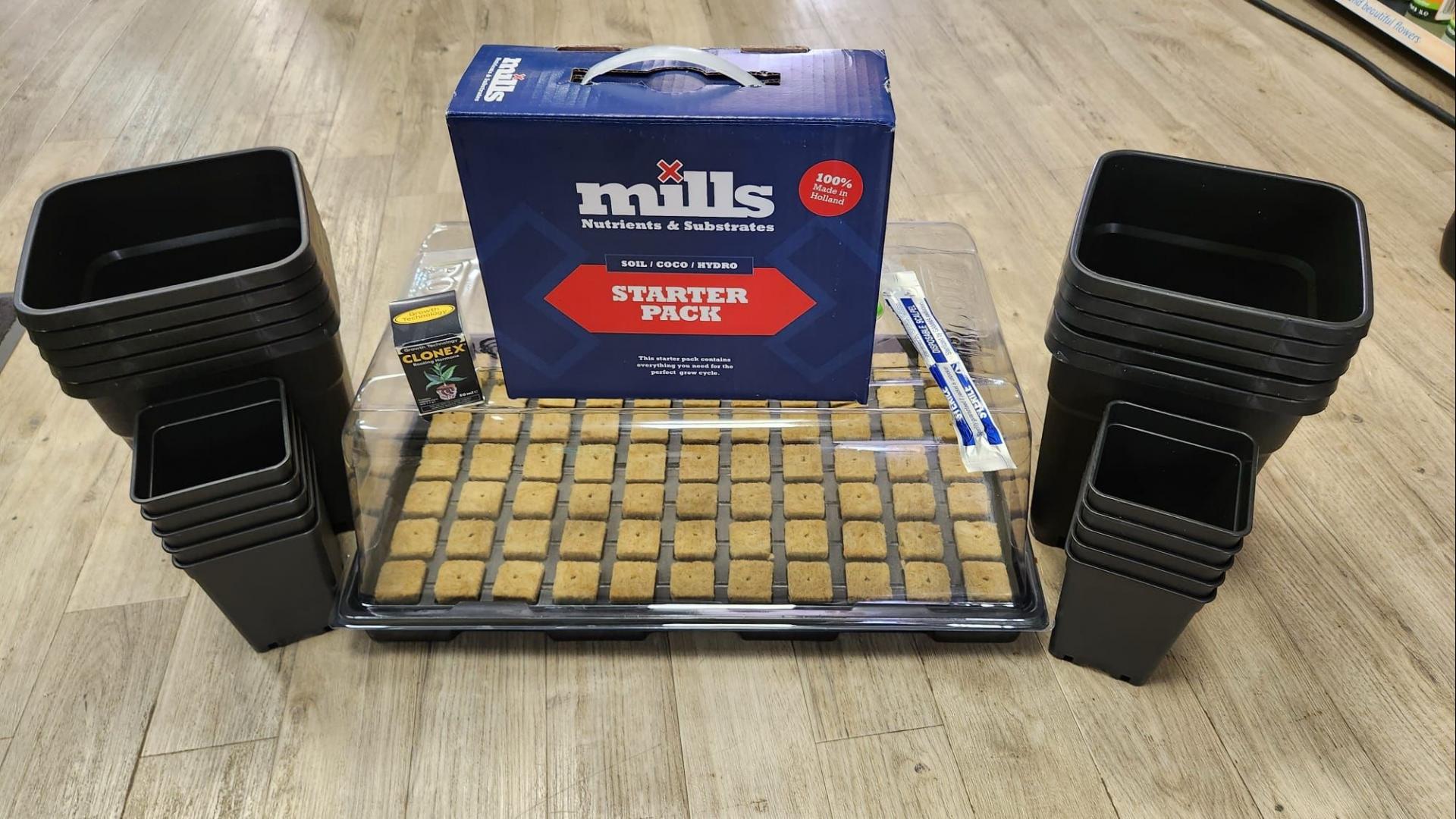 uploads/images/Dr Blooms Prize