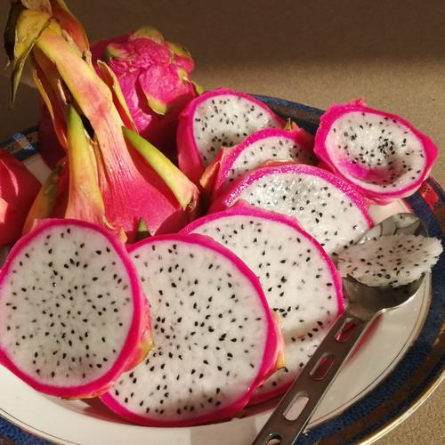 uploads/images/Dragon_fruit