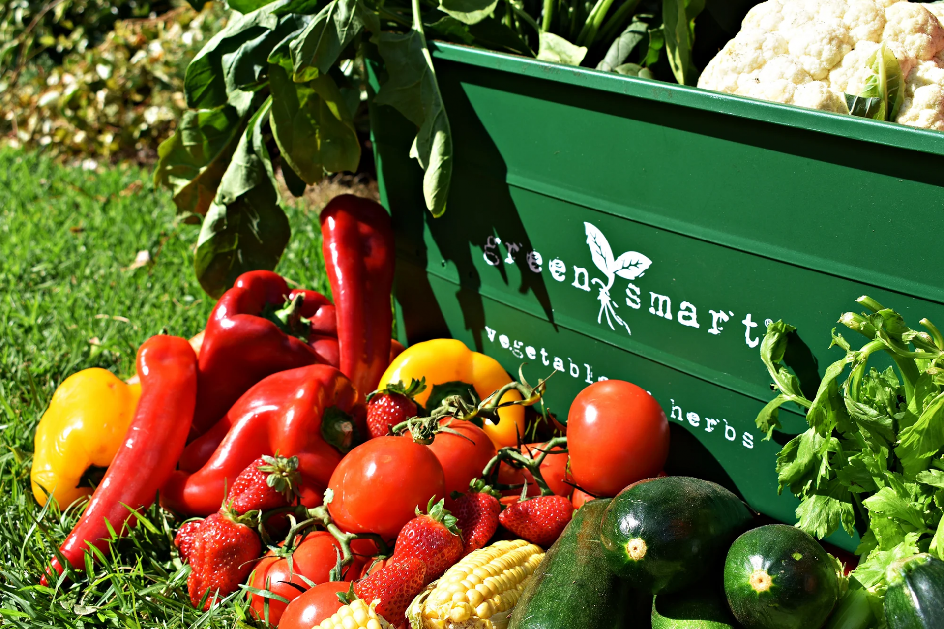 uploads/images/Dsc_0617