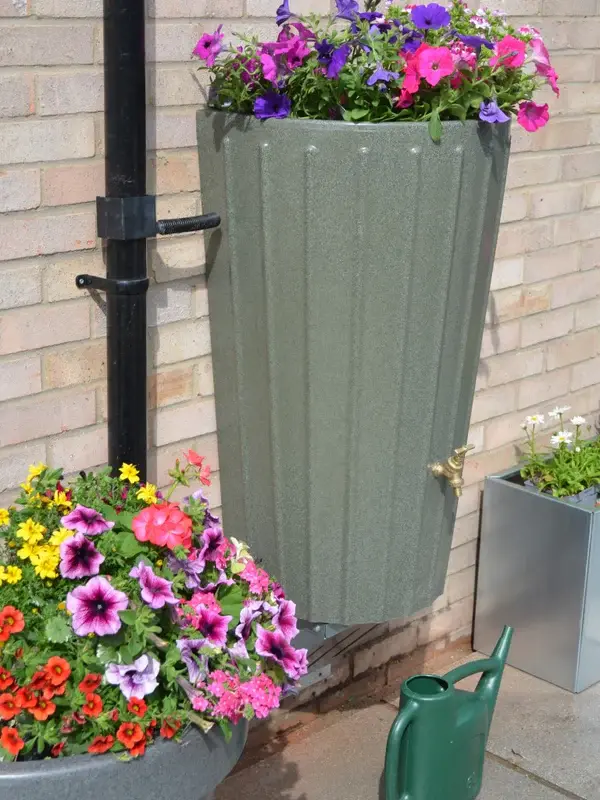 uploads/images/Dsc_1023_medium_64bb4f43 Ee2b 4de6 B414 A5b0c9c39f3e_600x800_crop_center