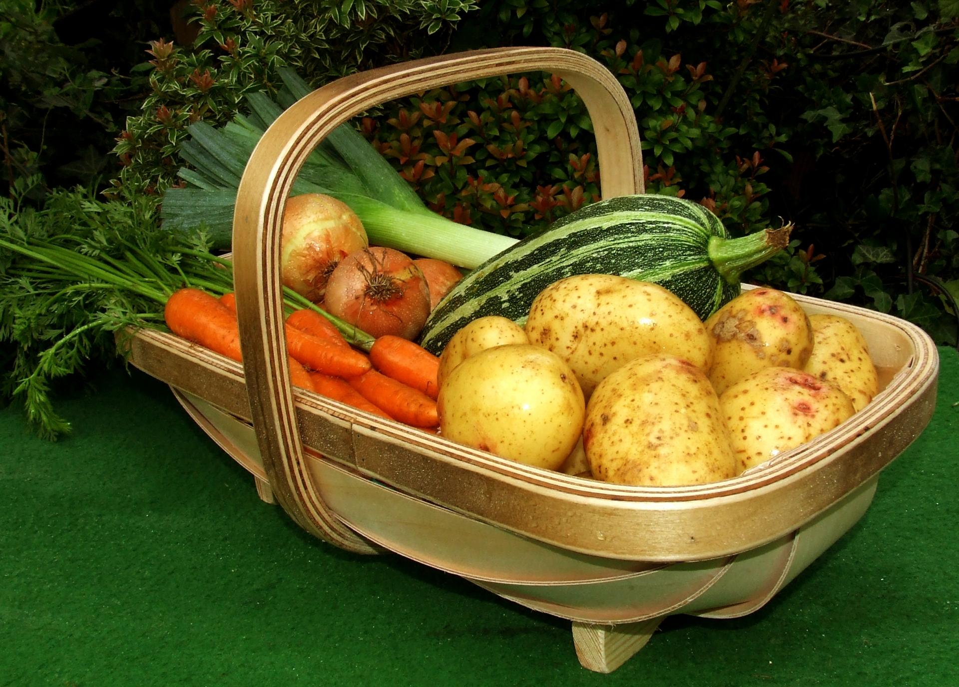 uploads/images/Dscf1516 Copy