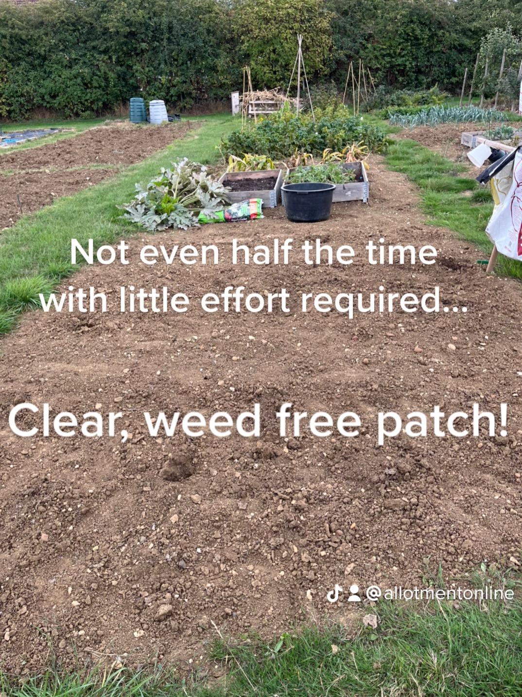 uploads/images/after