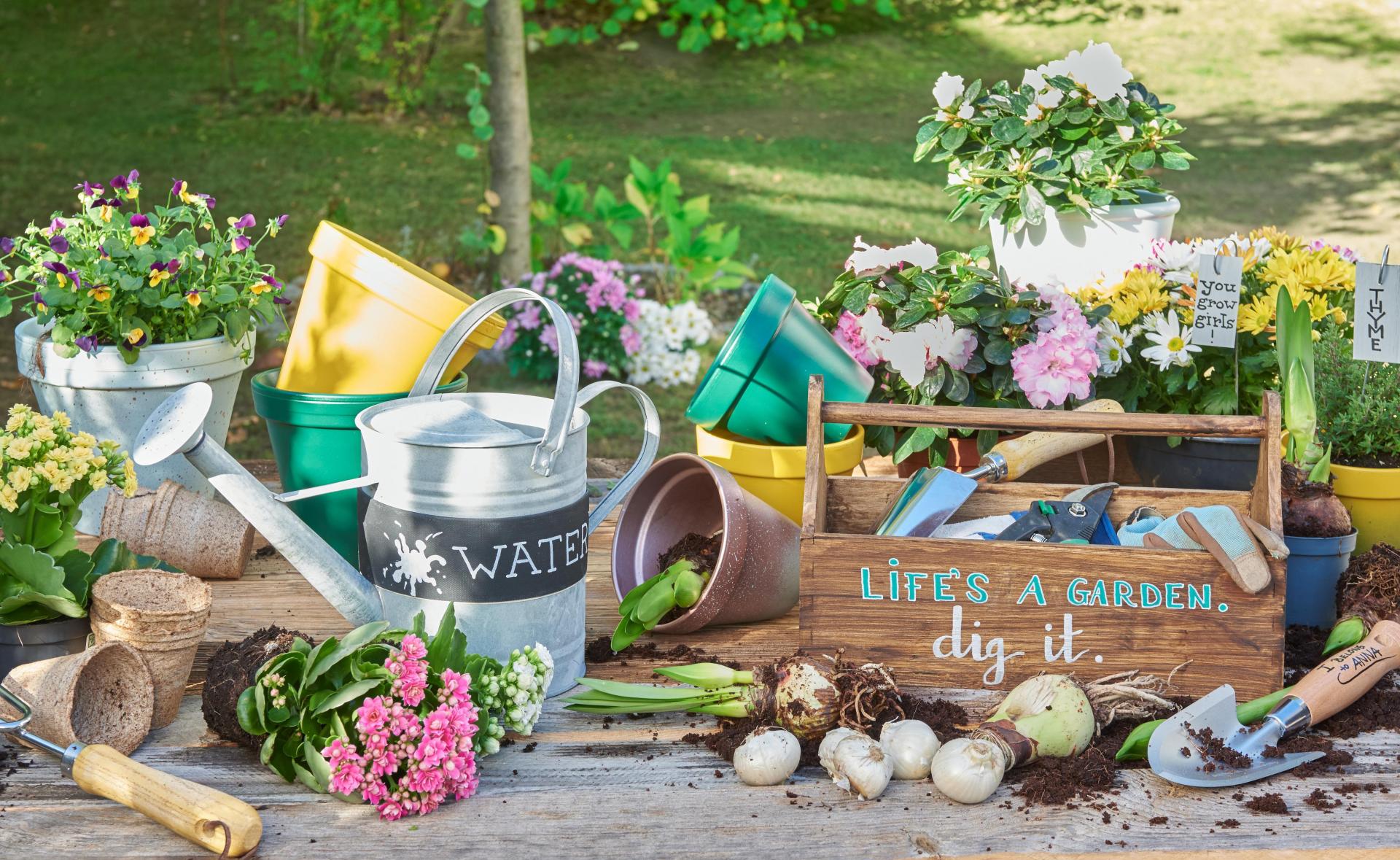 uploads/images/Edding Gardening Pic