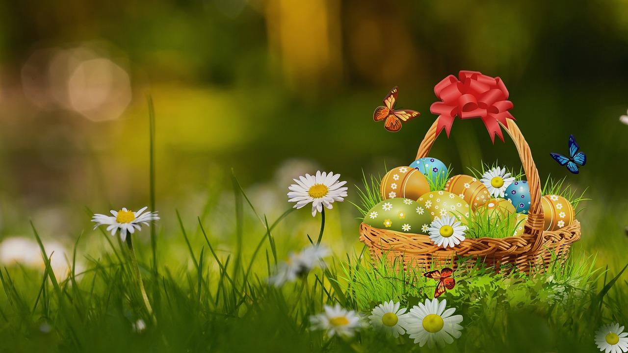 uploads/images/Eggs 6133492_1280