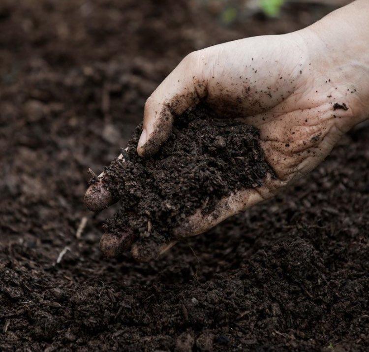 uploads/images/Er Soil