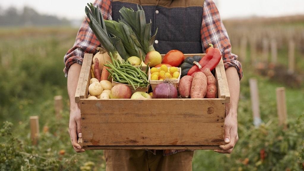 uploads/images/Farmer_carrying_veggies_1024 576