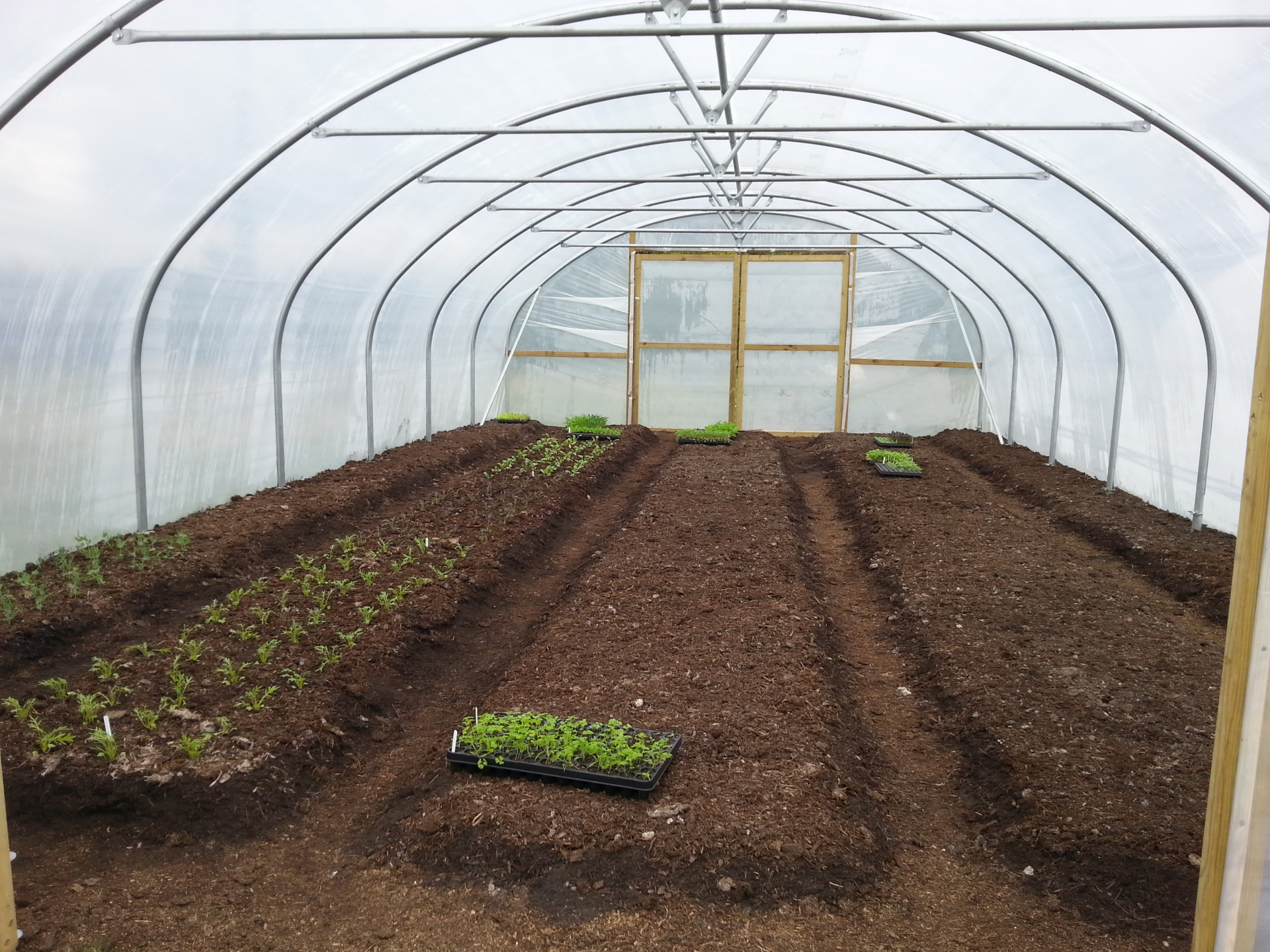 uploads/images/Ferryman Polytunnel 18 X 30