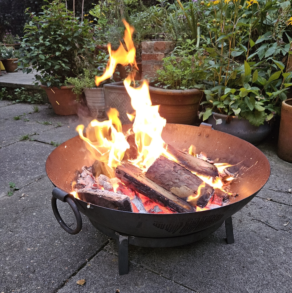 uploads/images/Fgs 2