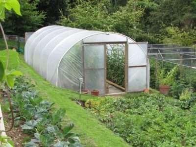 uploads/images/Five Star Polytunnels 12 X 30 Higher Terrace View Mel 3 E1681808662530
