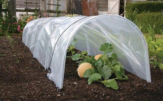 uploads/images/Fleece Tunnel Spash