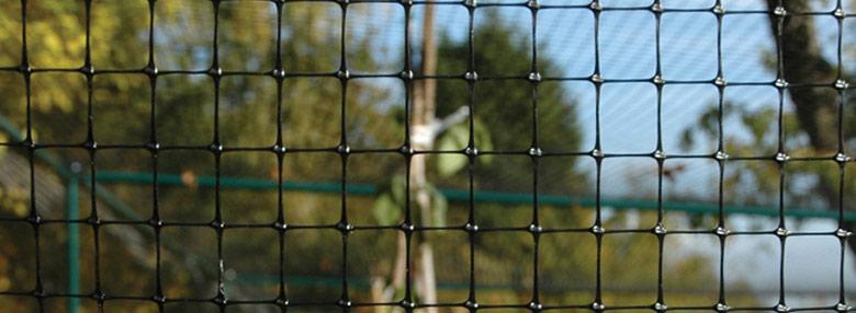 uploads/images/Fruit Cage Netting Splash