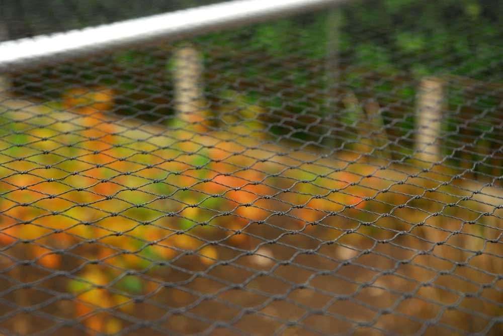 uploads/images/Fruit Cage Roof__1623141586_92.10.173.17