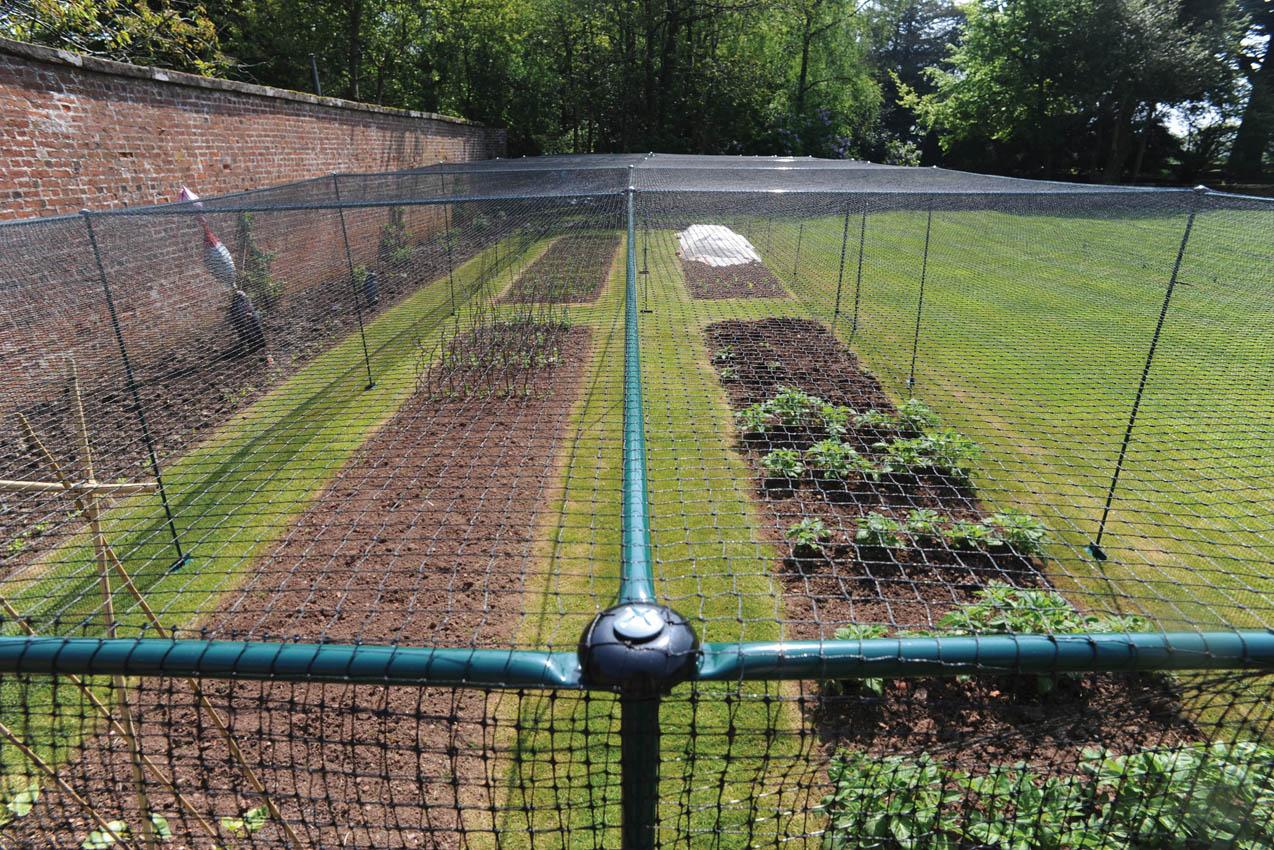 uploads/images/Fruitcage_oldspringshall_5_