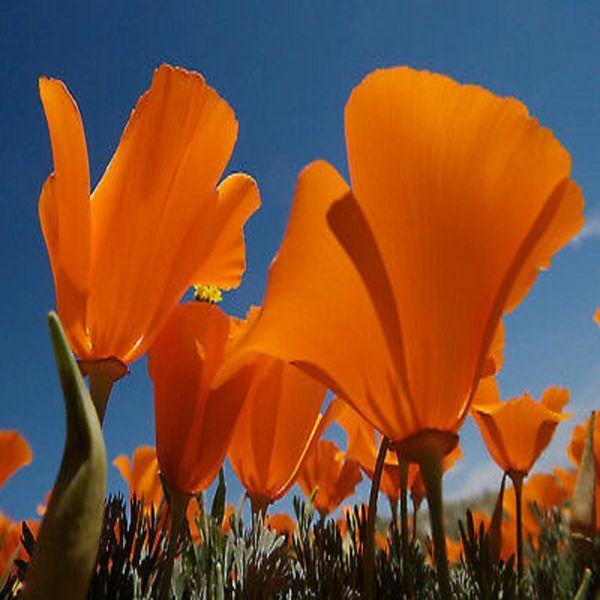 uploads/images/Ftx_yd Aiae0wu_