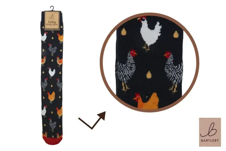 uploads/images/Funky Welly Socks Chicken 2 750x500