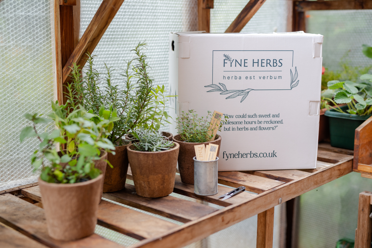 uploads/images/Fyne Herb Greenhouse