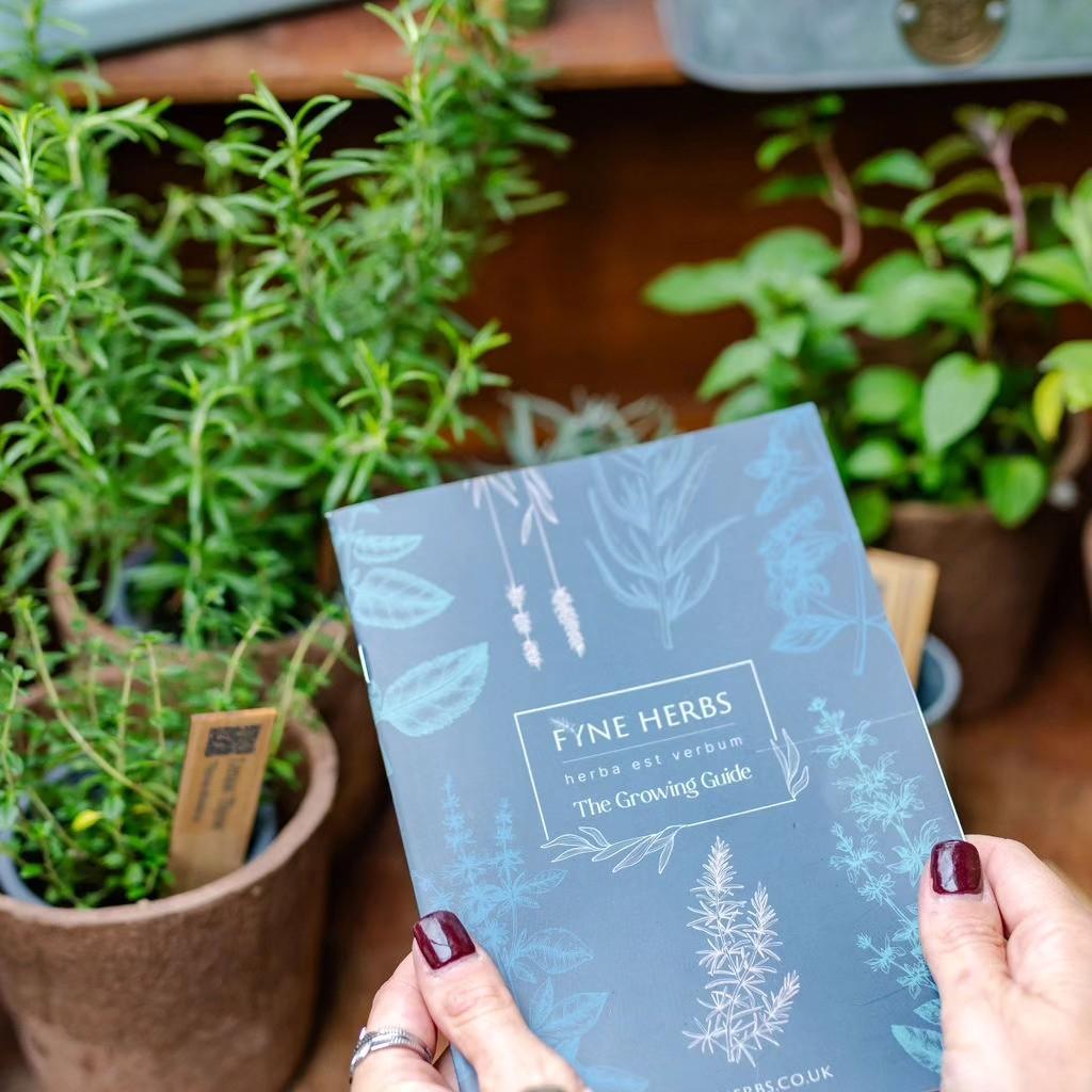 uploads/images/Fyne Herbs Packet