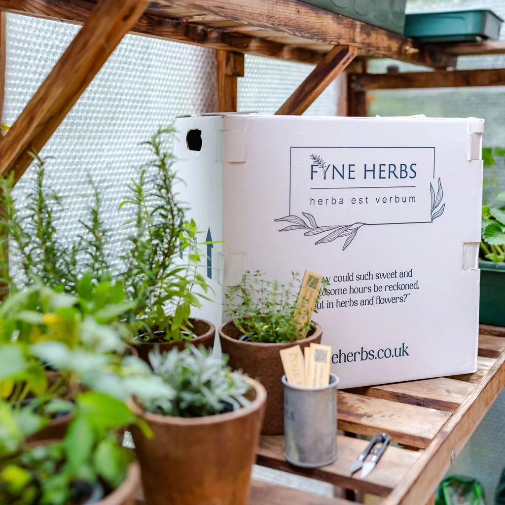 uploads/images/Fyne Herbs Potting Bench