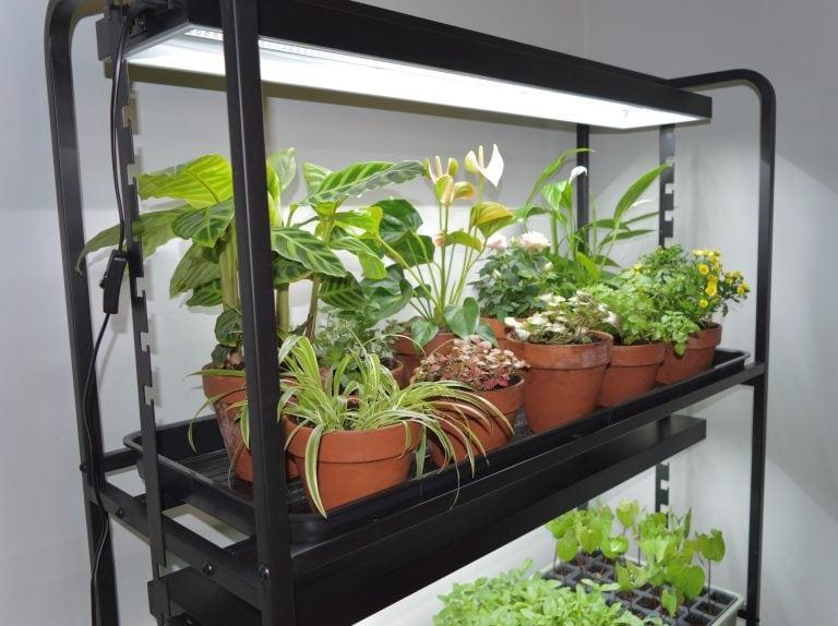 uploads/images/G289 High Rise Light Garden With Plants 3