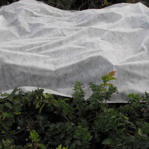 uploads/images/Garden Fleece 300x300