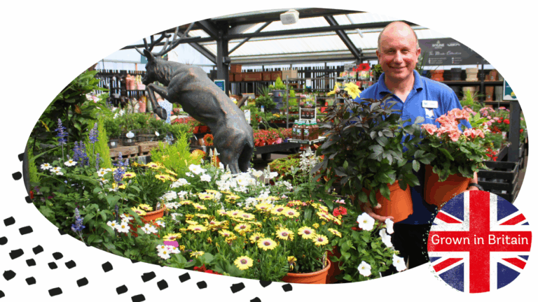 uploads/images/Gardening Page Website Blog Post 8 768x432