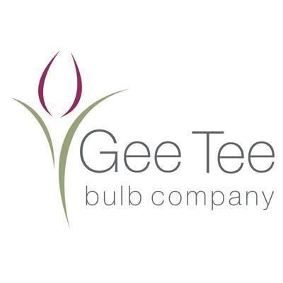 gee tee bulbs logo