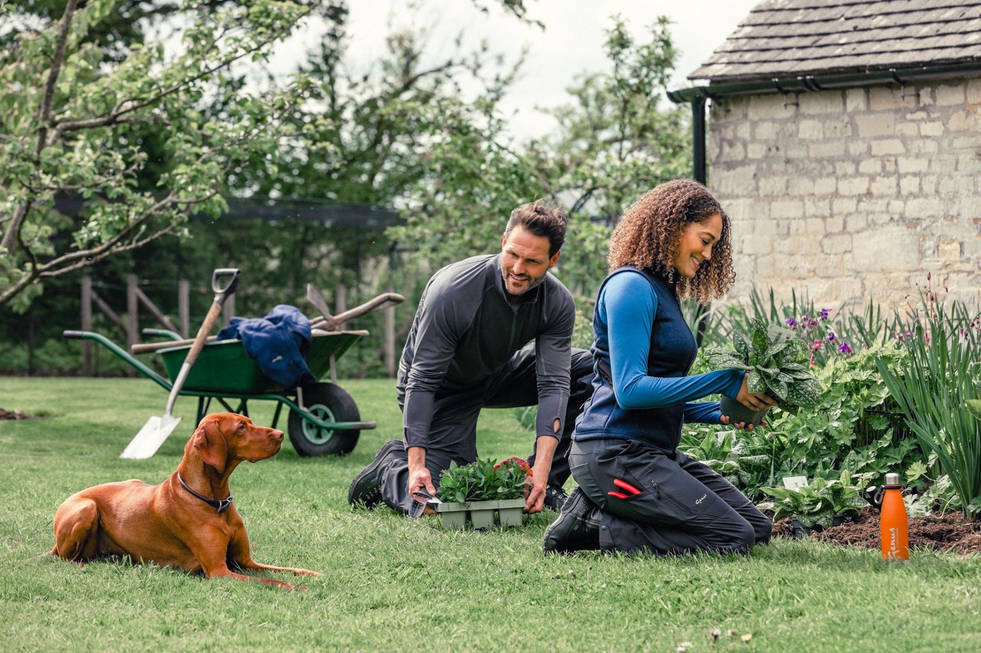 uploads/images/Genus