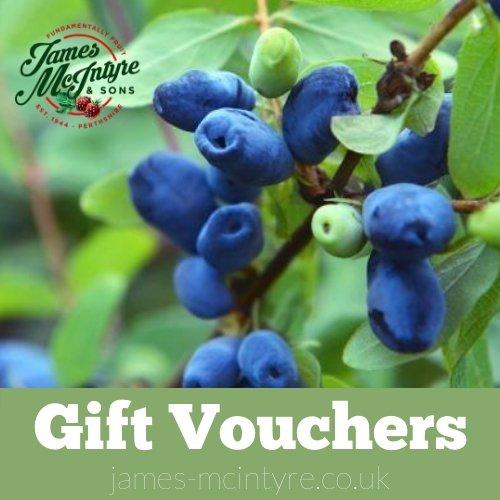 uploads/images/Gift Vouchers 1