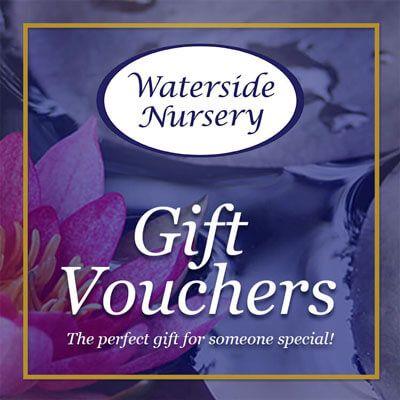 uploads/images/Giftvouchersgold Lge_2