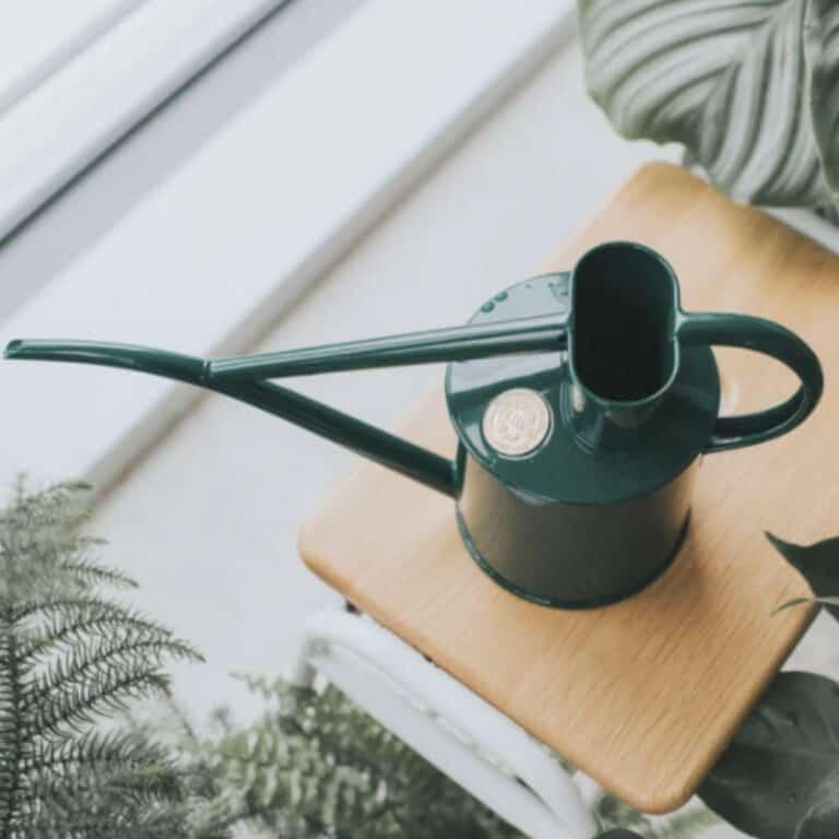 uploads/images/Green Fazeley Flow 2 Pint Lifestyle 800x800 1 768x768 1