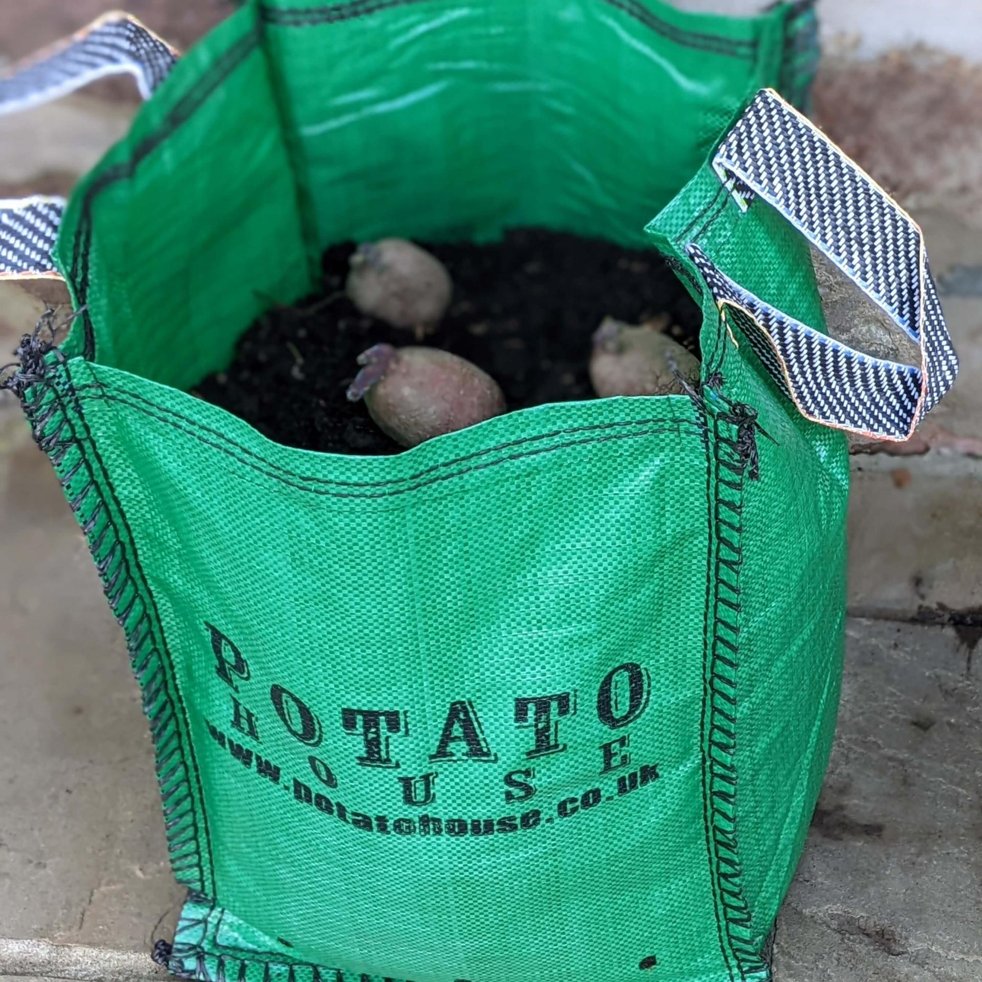 uploads/images/Potato House Green with Handles Filled with three Tubers