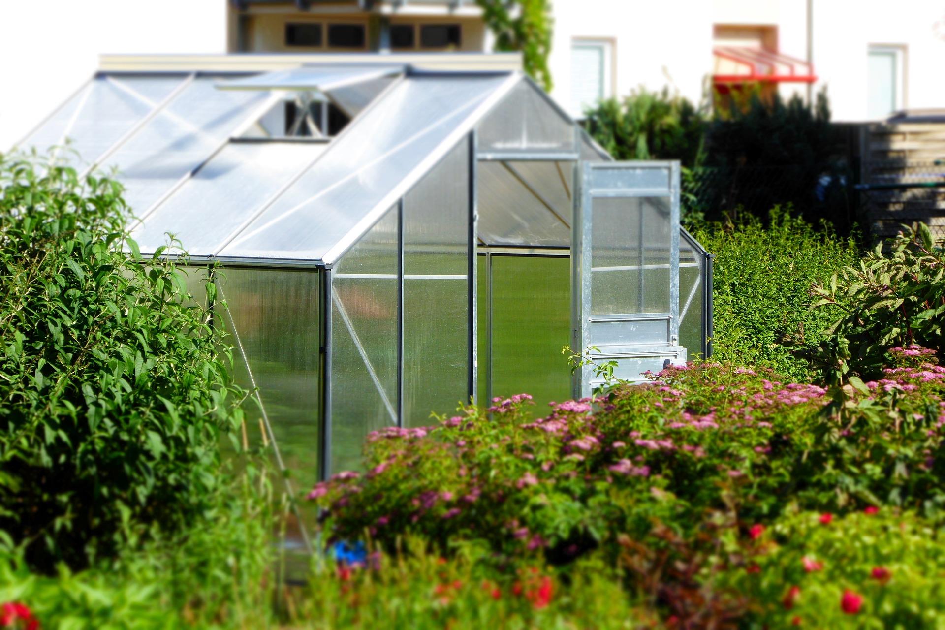 uploads/images/Greenhouse 827464_1920