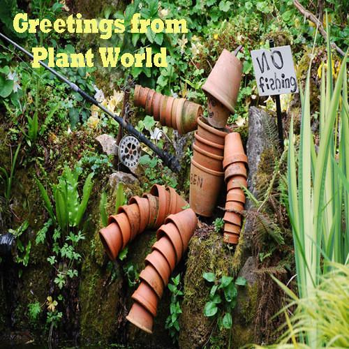 uploads/images/Greeting_card