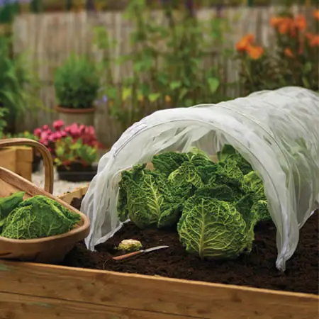 uploads/images/Grow_it_grow_tunnel_with_micromesh_cover_1