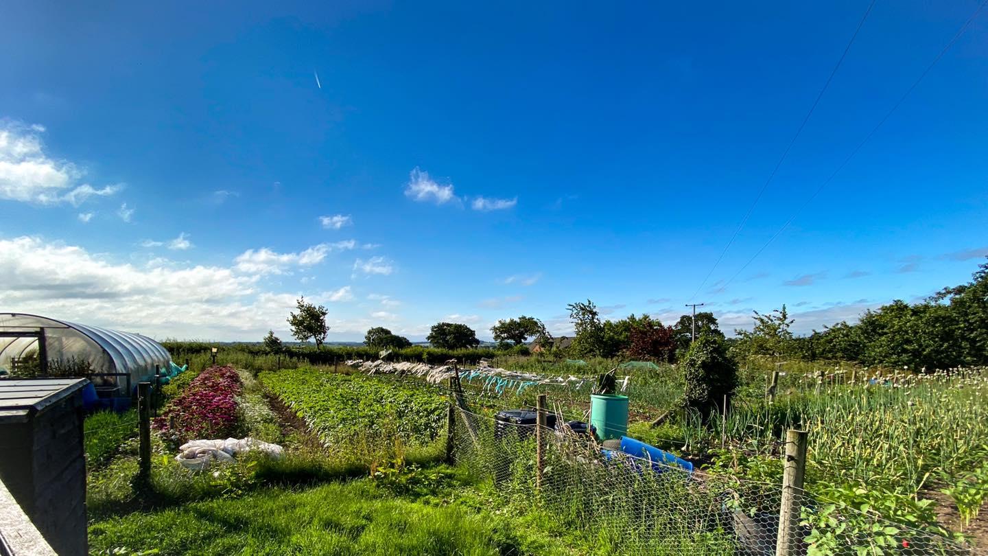 uploads/images/Growell 2