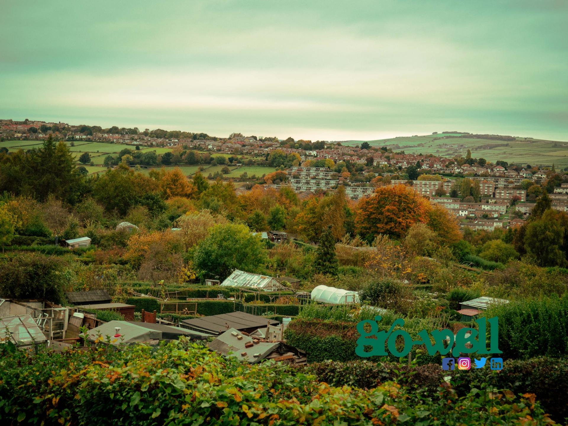 uploads/images/Growell