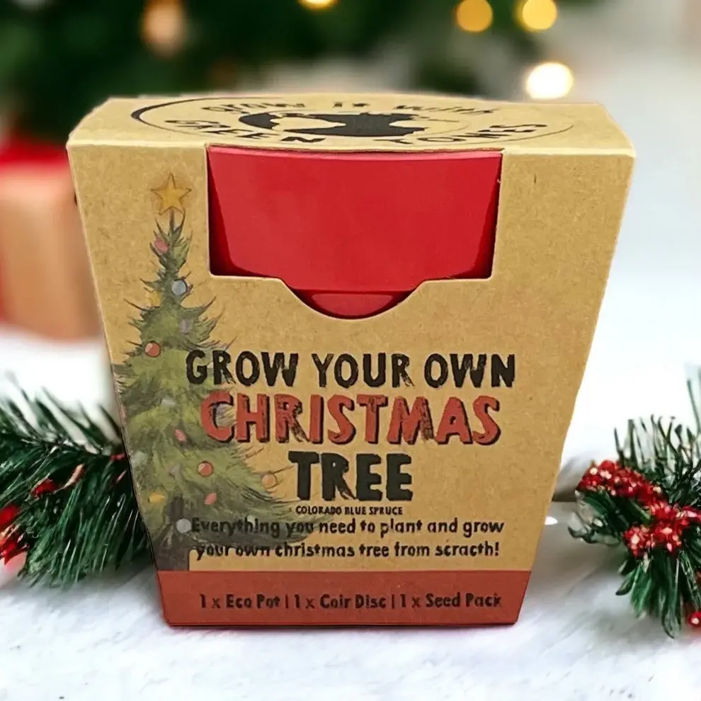 uploads/images/Growyourownxmastree_3