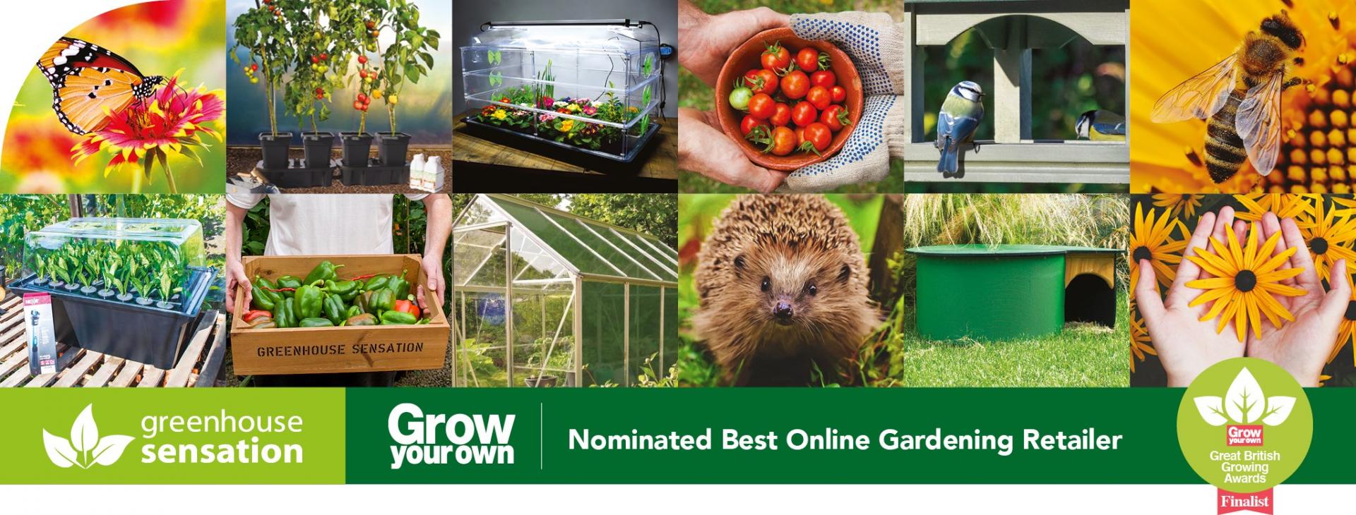 uploads/images/Gs Background