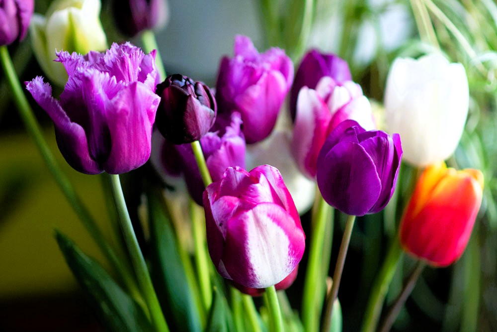 uploads/images/Gt Jun