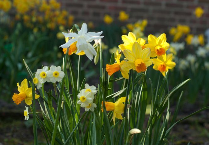 uploads/images/Gtb Updated Image