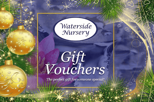 uploads/images/Gv Xmas A81f4b82a21e0367b6074a618a08ba98