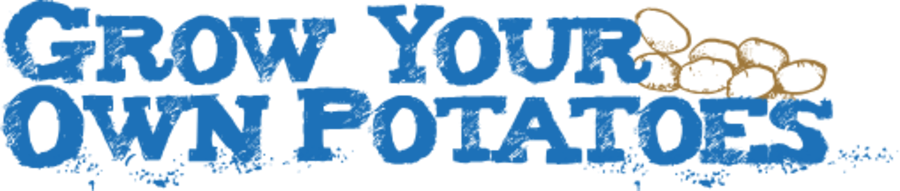 uploads/images/Gyop Logo 2