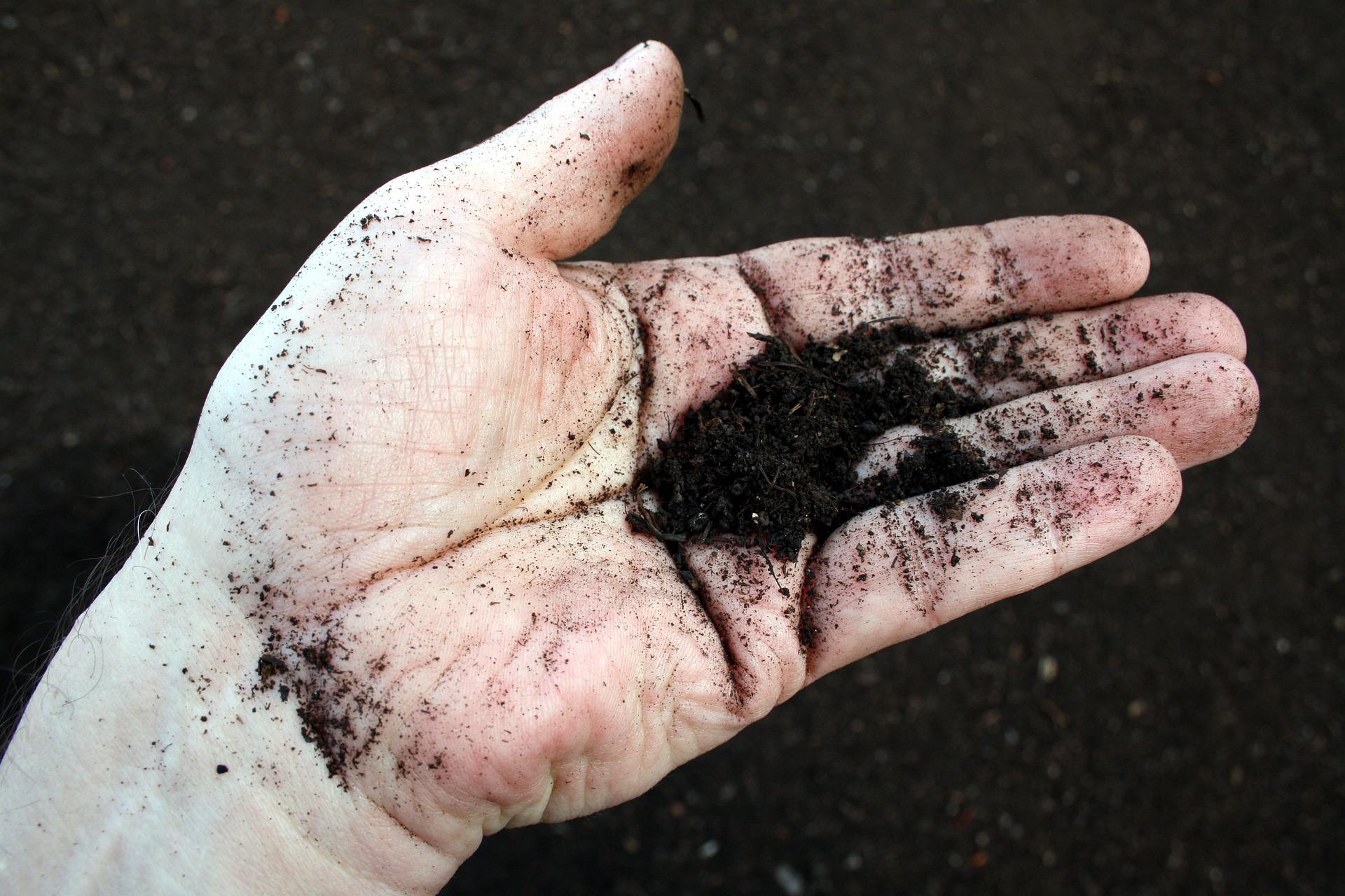 uploads/images/Hand 4859373_1920