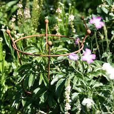 uploads/images/Harrod Rust Trumpet