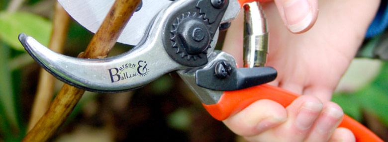 uploads/images/Harvesting Tools Splash