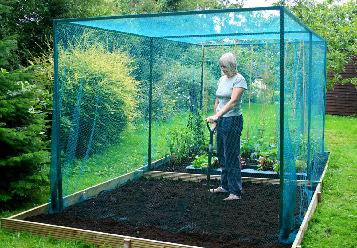 uploads/images/Hd Cage 1162x807 873kb