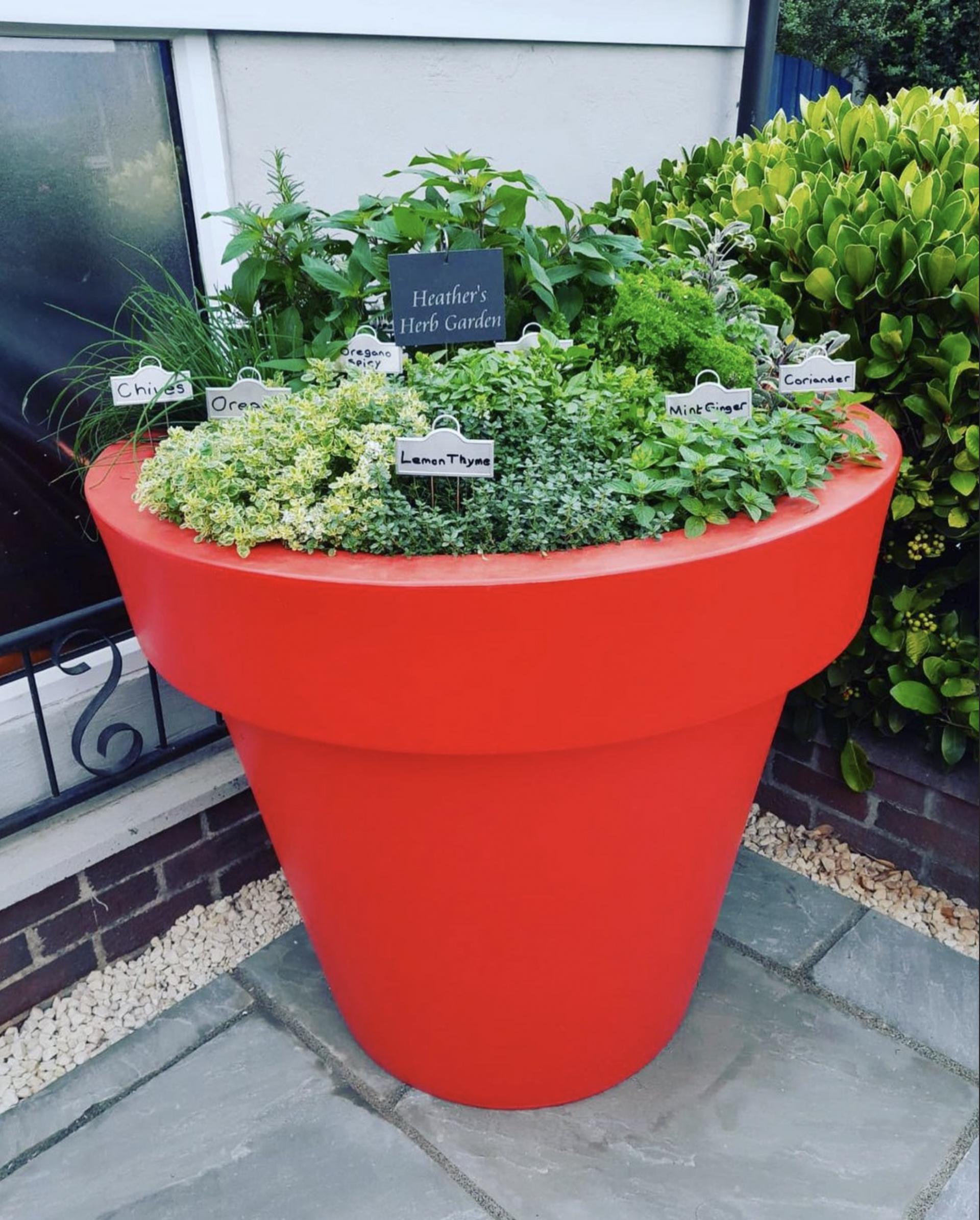 uploads/images/Herb Garden